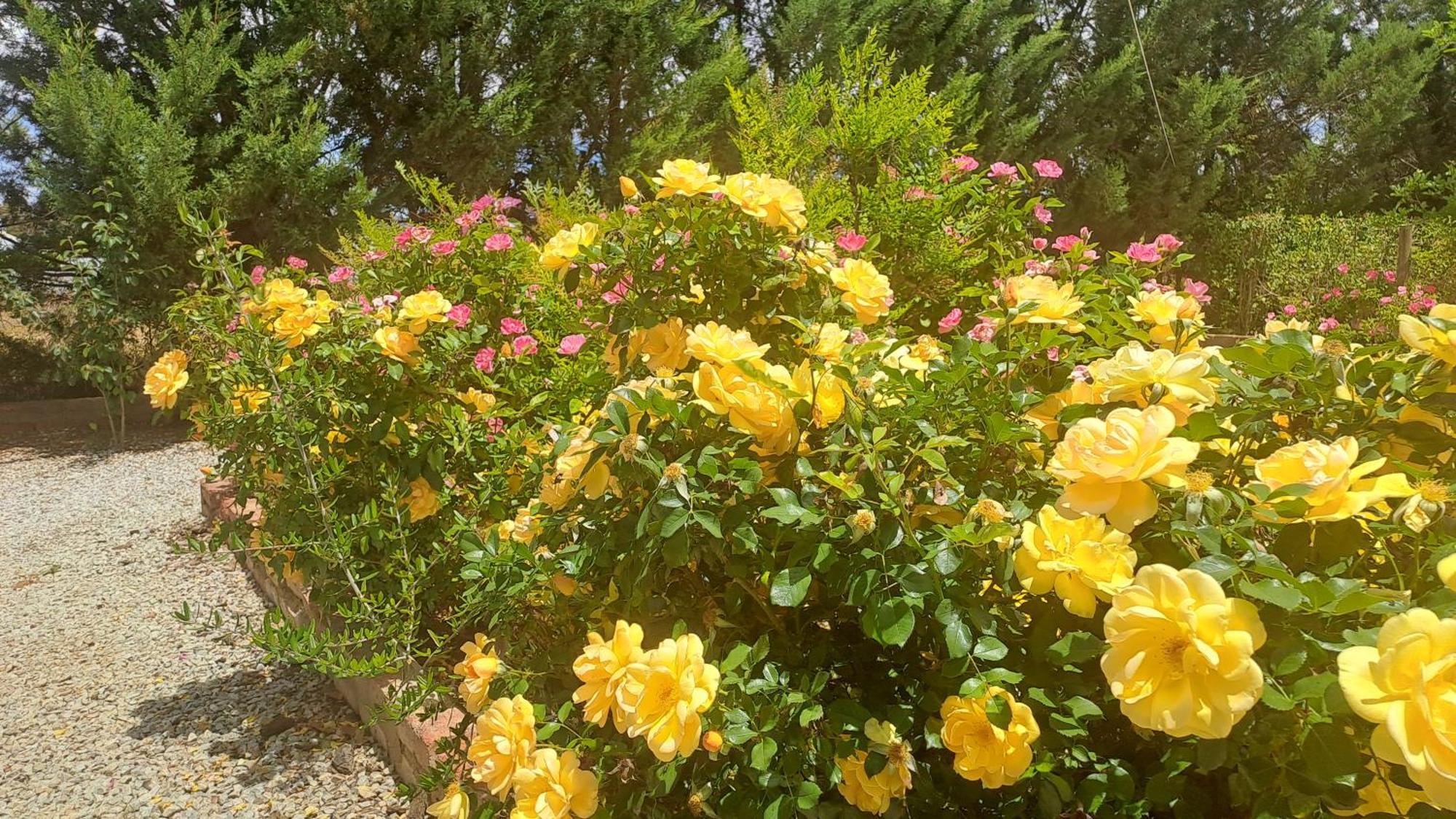 African Dawn B&B Calvinia 外观 照片