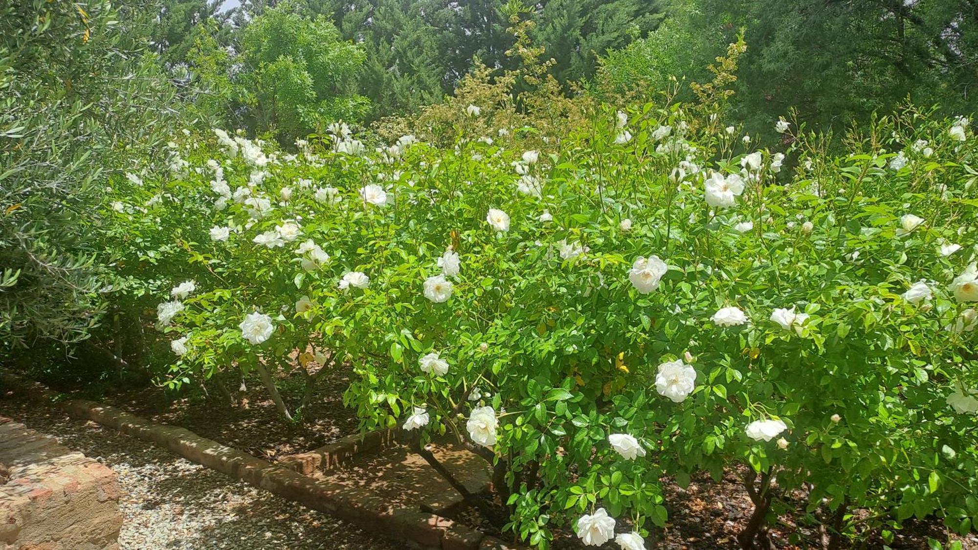 African Dawn B&B Calvinia 外观 照片